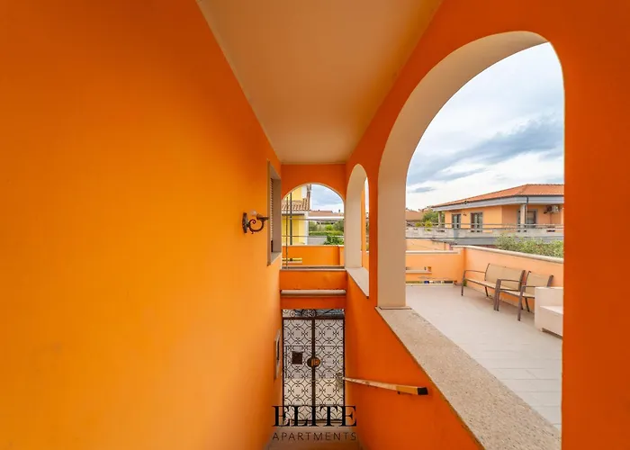 My Al Centro Di Ольбия